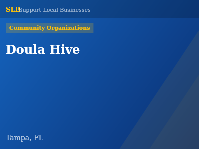 Doula Hive — Community Organizations in Tampa, FL