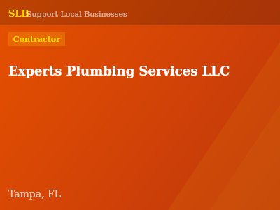 Experts Plumbing Services LLC — Contractor in Tampa, FL