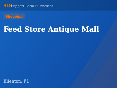 Feed Store Antique Mall — Shopping in Ellenton, FL