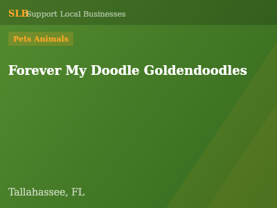 Forever My Doodle Goldendoodles — Pets Animals in Tallahassee, FL