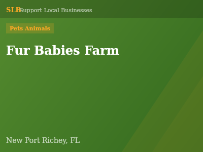 Fur Babies Farm — Pets Animals in New Port Richey, FL