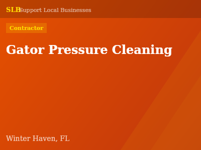 Gator Pressure Cleaning — Contractor in Winter Haven, FL