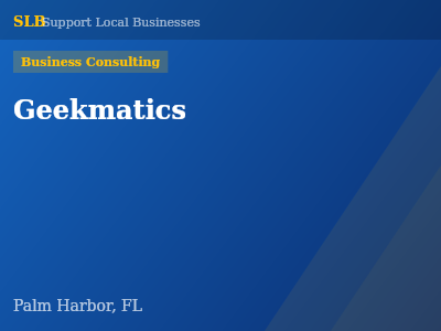 Geekmatics — Business Consulting in Palm Harbor, FL