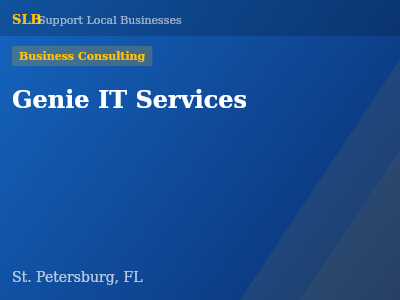 Genie IT Services — Business Consulting in St. Petersburg, FL