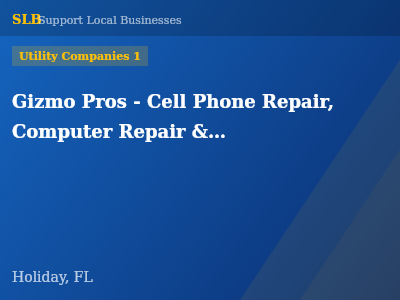 Gizmo Pros - Cell Phone Repair, Computer Repair & Game Console Repair In Holiday, Newport Richey, Tarpon Spring — Utility Companies 1 in Holiday, FL