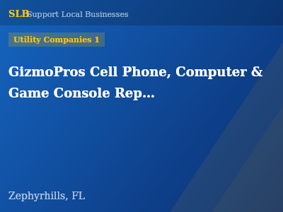 GizmoPros Cell Phone, Computer & Game Console Repair in Wesley Chapel — Utility Companies 1 in Zephyrhills, FL