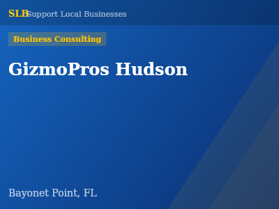 GizmoPros Hudson — Business Consulting in Bayonet Point, FL