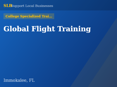 Global Flight Training — College Specialized Training in Immokalee, FL