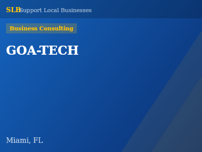 GOA-TECH — Business Consulting in Miami, FL