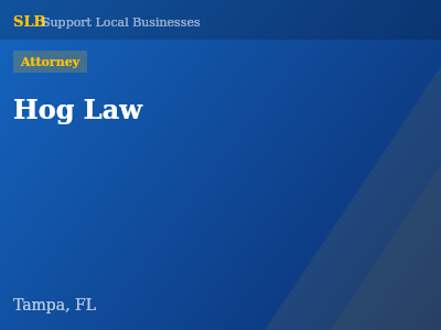 Hog Law — Attorney in Tampa, FL