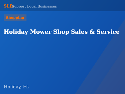 Holiday Mower Shop Sales & Service — Shopping in Holiday, FL