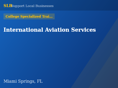 International Aviation Services — College Specialized Training in Miami Springs, FL