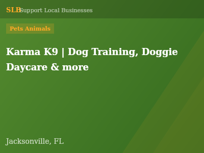 Karma K9 | Dog Training, Doggie Daycare & more — Pets Animals in Jacksonville, FL