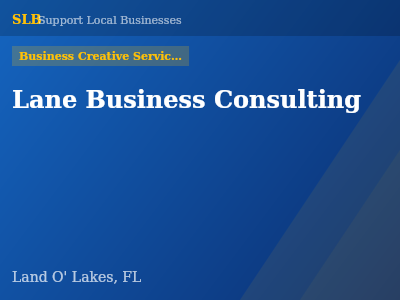 Lane Business Consulting — Business Creative Services in Land O' Lakes, FL