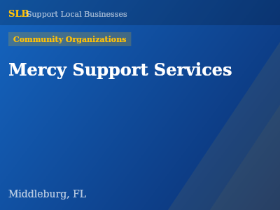 Mercy Support Services — Community Organizations in Middleburg, FL