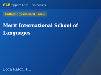 Merit International School of Languages — College Specialized Training in Boca Raton, FL