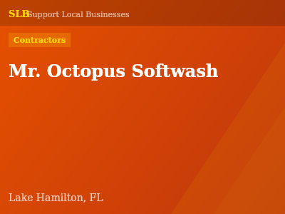 Mr. Octopus Softwash — Contractors in Lake Hamilton, FL