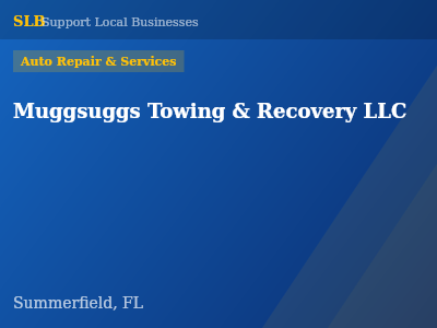 Muggsuggs Towing & Recovery LLC — Auto Repair & Services in Summerfield, FL