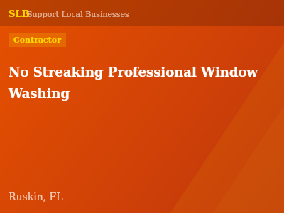 No Streaking Professional Window Washing — Contractor in Ruskin, FL