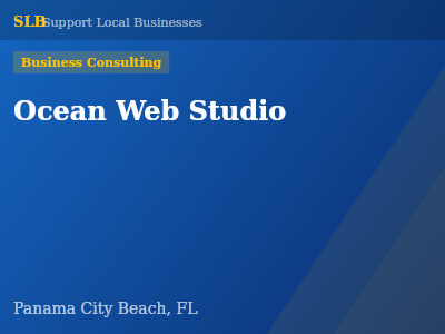 Ocean Web Studio — Business Consulting in Panama City Beach, FL