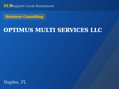OPTIMUS MULTI SERVICES LLC — Business Consulting in Naples, FL