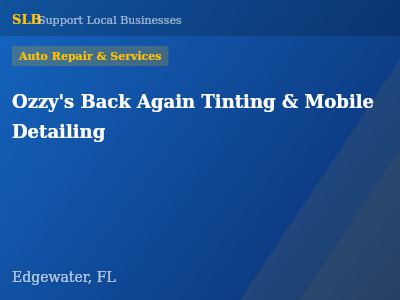 Ozzy's Back Again Tinting & Mobile Detailing — Auto Repair & Services in Edgewater, FL