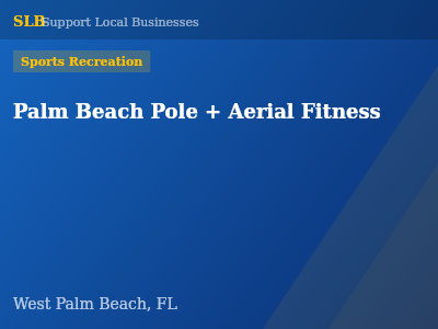 Palm Beach Pole + Aerial Fitness — Sports Recreation in West Palm Beach, FL