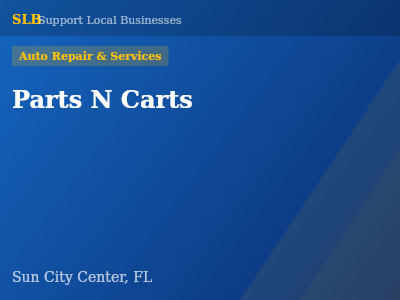 Parts N Carts — Auto Repair & Services in Sun City Center, FL