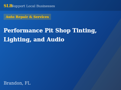 Performance Pit Shop Tinting, Lighting, and Audio — Auto Repair & Services in Brandon, FL