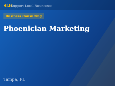 Phoenician Marketing — Business Consulting in Tampa, FL