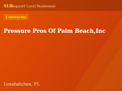Pressure Pros Of Palm Beach,Inc — Contractor in Loxahatchee, FL