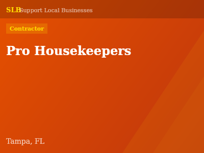 Pro Housekeepers — Contractor in Tampa, FL