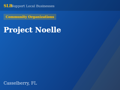 Project Noelle — Community Organizations in Casselberry, FL