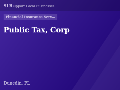 Public Tax, Corp — Financial Insurance Services in Dunedin, FL