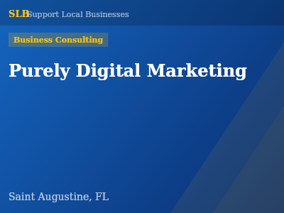 Purely Digital Marketing — Business Consulting in Saint Augustine, FL
