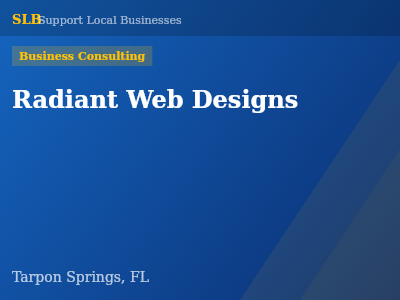 Radiant Web Designs — Business Consulting in Tarpon Springs, FL
