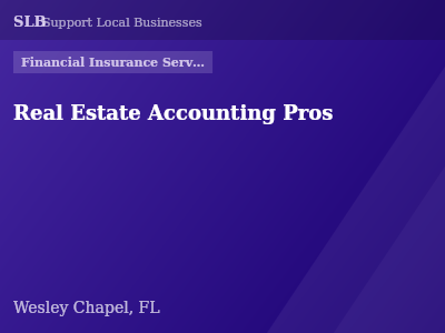 Real Estate Accounting Pros — Financial Insurance Services in Wesley Chapel, FL
