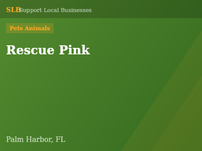 Rescue Pink — Pets Animals in Palm Harbor, FL