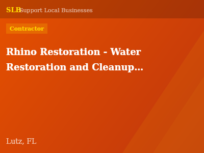 Rhino Restoration - Water Restoration and Cleanup of Tampa Bay — Contractor in Lutz, FL