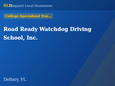Road Ready Watchdog Driving School, Inc. — College Specialized Training in DeBary, FL