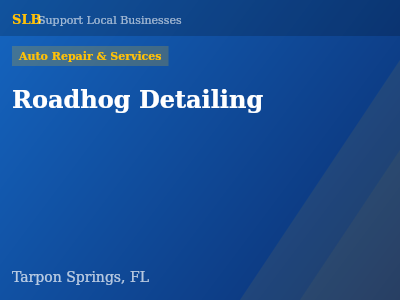 Roadhog Detailing — Auto Repair & Services in Tarpon Springs, FL