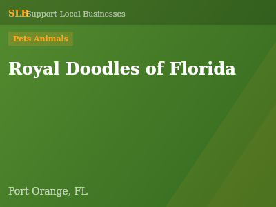 Royal Doodles of Florida — Pets Animals in Port Orange, FL
