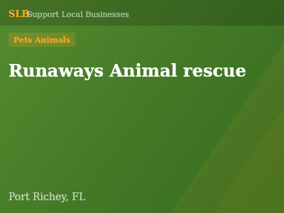 Runaways Animal rescue — Pets Animals in Port Richey, FL