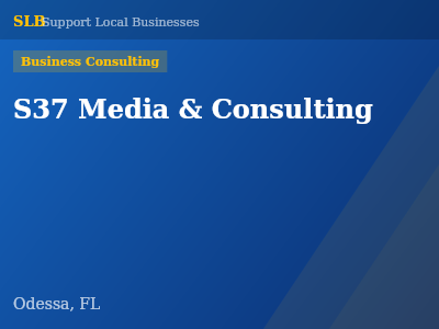 S37 Media & Consulting — Business Consulting in Odessa, FL