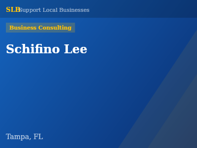 Schifino Lee — Business Consulting in Tampa, FL