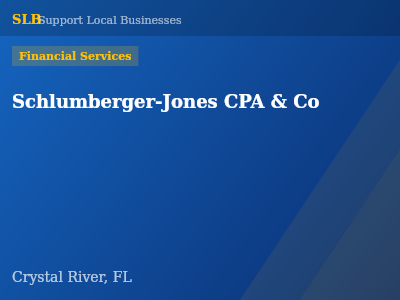 Schlumberger-Jones CPA & Co — Financial Services in Crystal River, FL