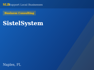 SistelSystem — Business Consulting in Naples, FL