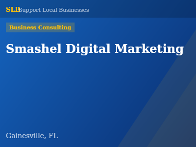Smashel Digital Marketing — Business Consulting in Gainesville, FL