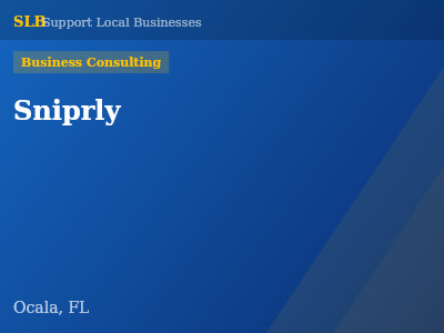 Sniprly — Business Consulting in Ocala, FL