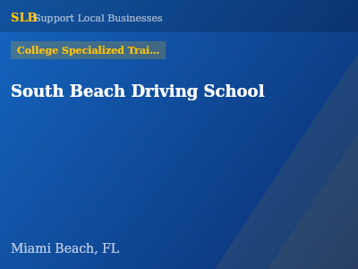 South Beach Driving School — College Specialized Training in Miami Beach, FL